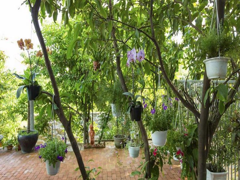 Quynh Nhan Homestay Hoi An Eksteriør bilde